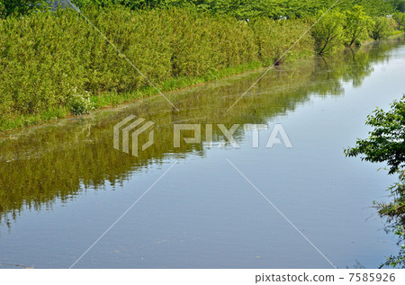 Take a stroll through the Takara Izuma · Takara River 7585926