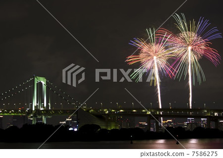 東京灣盛開的花朵 東京灣盛開的花朵 7586275