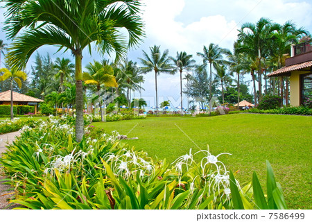 Tropical resort hotel (Bintan Island / Indonesia) 7586499