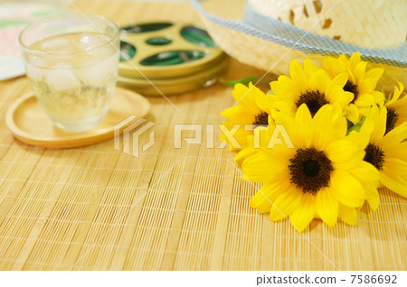 Summer image Summer image 7586692