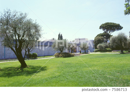 Chagall Museum of Art Chagall Museum of Art 7586713