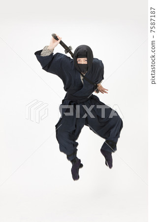 Ninja 7587187