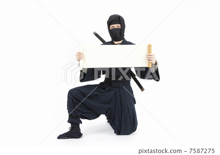 Ninja 7587275