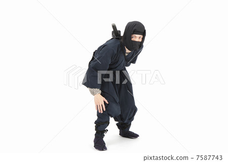 Ninja 7587743