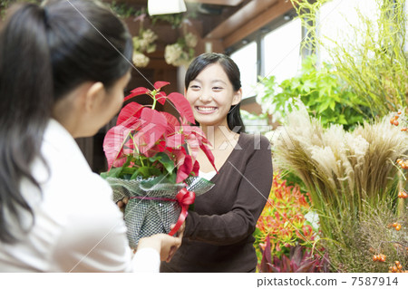A woman receiving a poinsettia A woman receiving a poinsettia 7587914