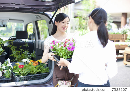 A woman from a florist clerk 7588207