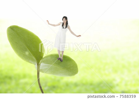 一個女人站在雙葉平衡 7588359