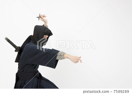 Ninja 7589289