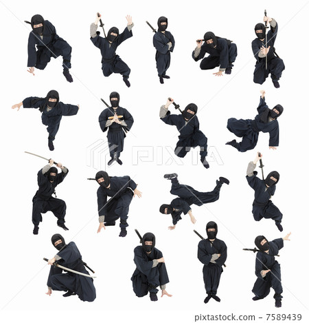 Ninja 7589439