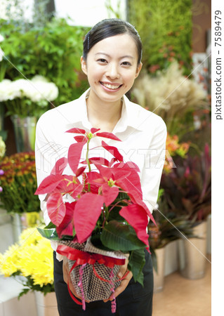 有一品紅的職員婦女 7589479
