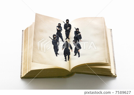 Ninja and books 7589627