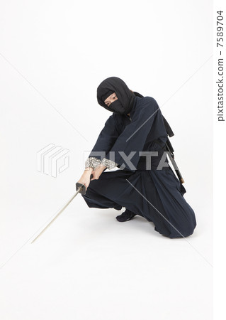 Ninja Ninja 7589704