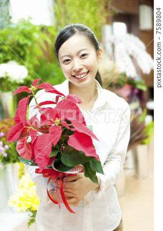 Clerk woman with poinsettia 7589804