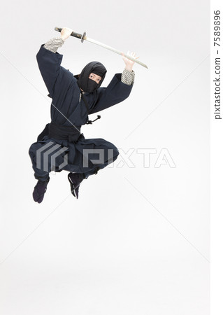 Ninja 7589896