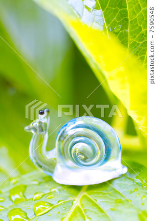 The rainy season is not it ~! The rainy season is not it ~! 7590548