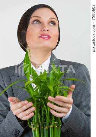 Adult pretty businesswoman taking care about her plant. Startup Adult pretty businesswoman taking care about her plant. Startup 7590602