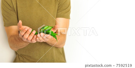 plant in hands 7592519