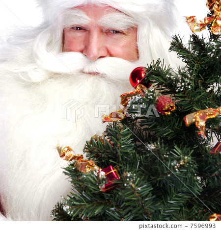Christmas theme: Santa Claus holding christmas tree and his bag 7596993