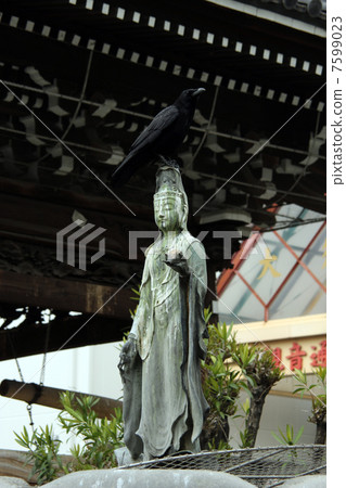 Buddha statue 7599023