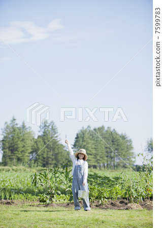 園藝 園藝 7599783