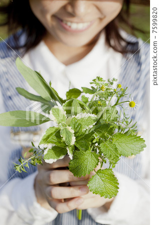 gardening gardening 7599820