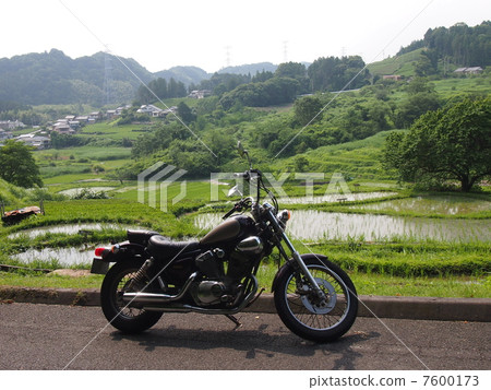 摩托車和水稻梯田 7600173