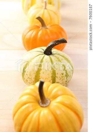 pumpkin pumpkin 7600187