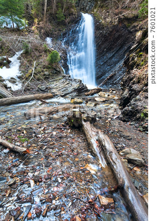 Waterfall and brook in mountain forest ravine 7601021