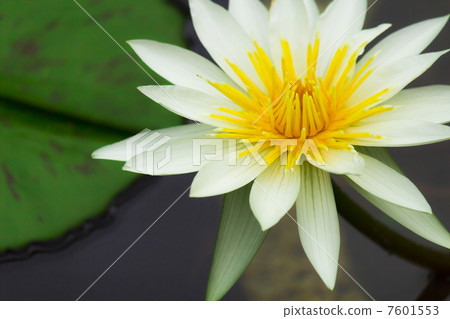 Silos Irene Silos Irene 7601553