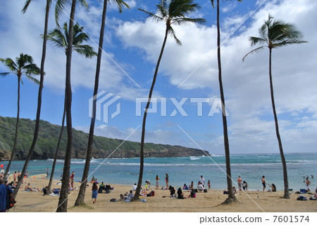 哈瑙瑪灣 哈瑙瑪灣 7601574