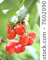 Cherry 7602090