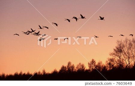 Vermillion homestead Vermillion homestead 7603649