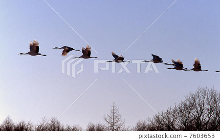 Vermillion homestead 7603653