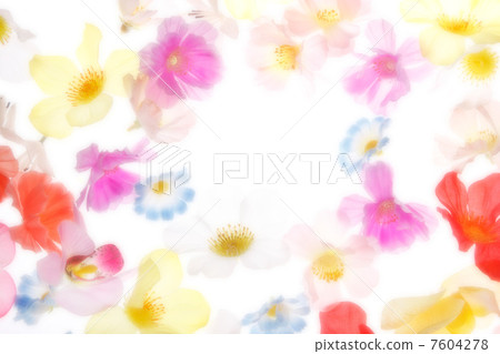 Flower background Flower background 7604278