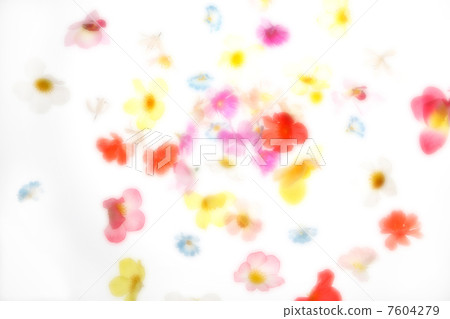 Flower background Flower background 7604279