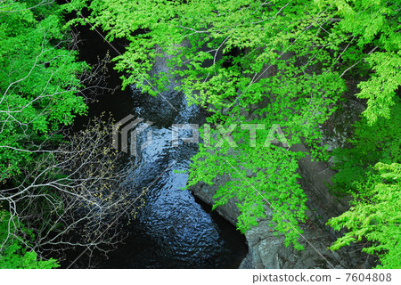 Oga gorge of fresh green 7604808