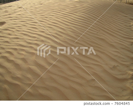Dubai Dubai 7604845