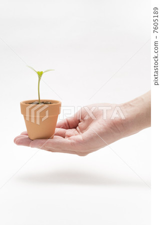 Eco-growth image Eco-growth image 7605189