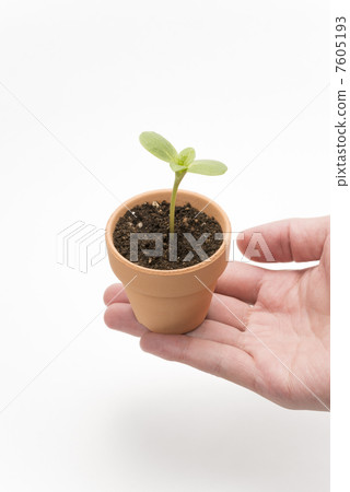 生態增長形象 生態增長形象 7605193