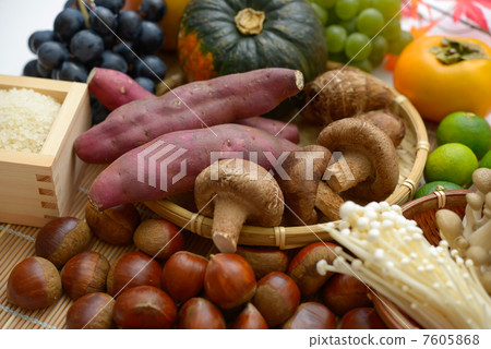 秋天的味道 7605868