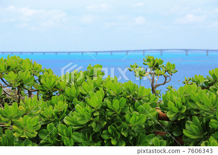 Blue Sea Blue Sea 7606343