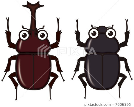 Beetle Beetle 7606595