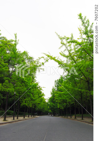 一條路 一條路 7607202