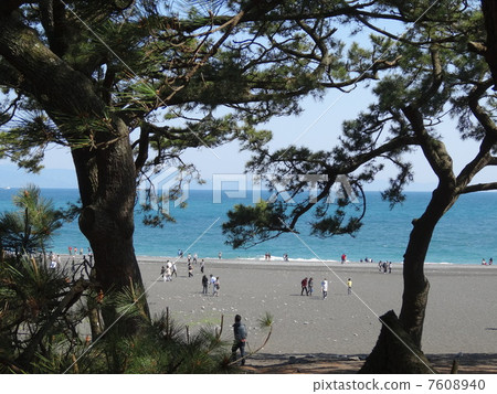 Miho no Mombara Suruga Bay scenic spots 7608940