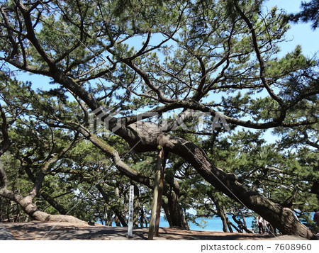 Country designated scenario Miho Matsubara Country designated scenario Miho Matsubara 7608960