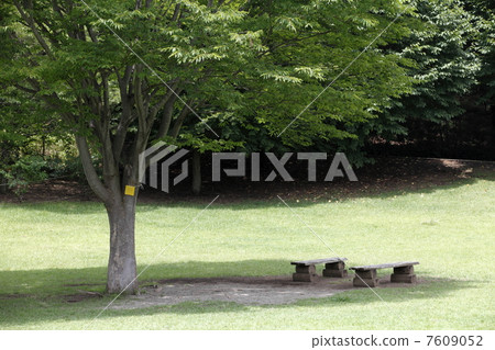 公園的長椅上 7609052