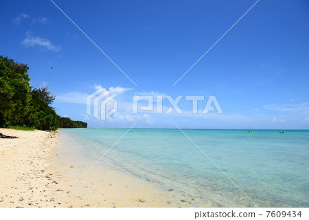 The beach of Guam Cocos Island 7609434