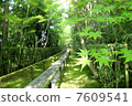 京都Daitokuji Takashiin的藍色楓樹 7609541