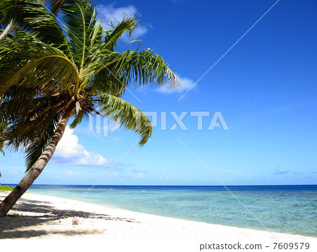 Sandy beach of Guam Sandy beach of Guam 7609579