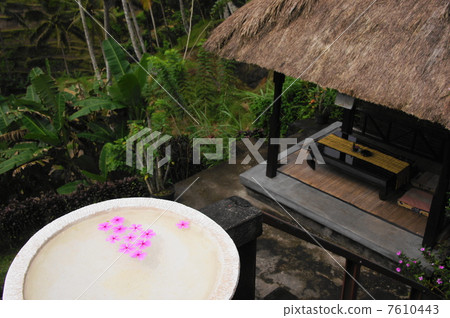 June Flower tropical plants Nichinitishiba · Cyperaceae family 15 June Flower tropical plants Nichinitishiba · Cyperaceae family 15 7610443